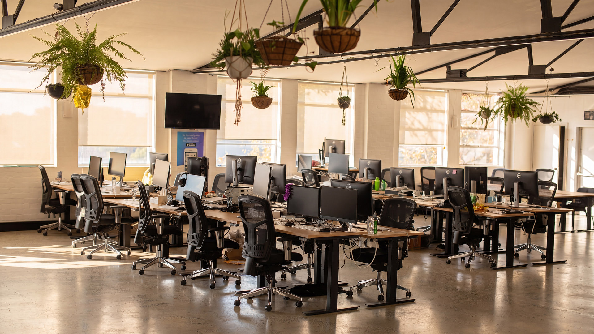 Canva Sydney headquarters interior photography