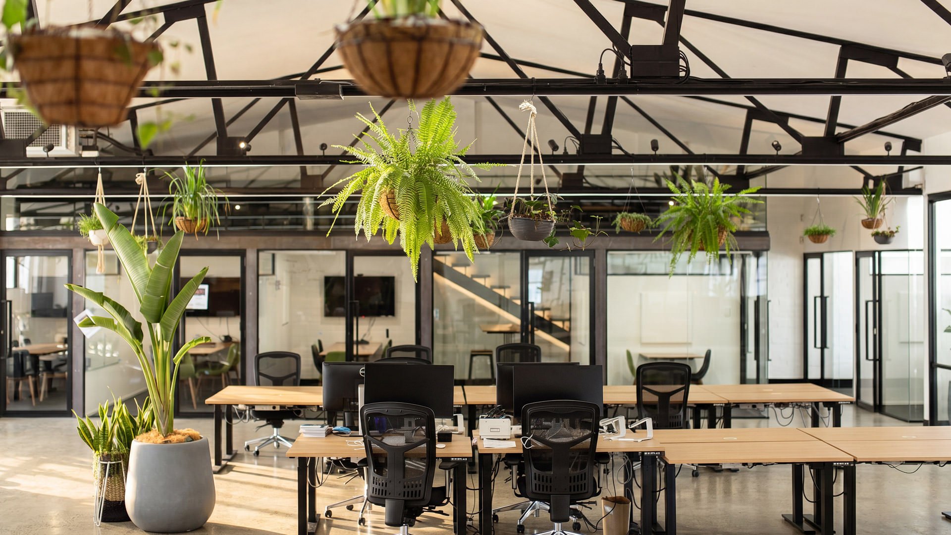 Canva Sydney headquarters interior photography